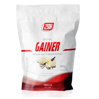 Gainer (1000g) от 2SN